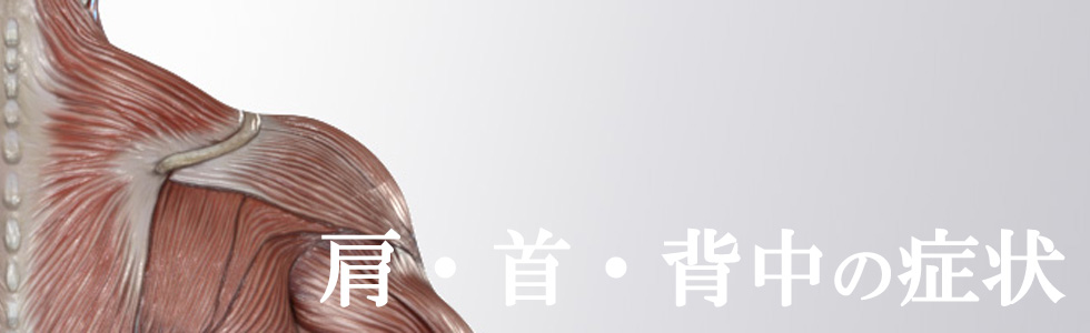 肩・首・背中の症状