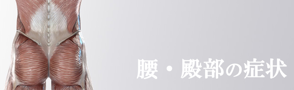 腰・殿部の症状01