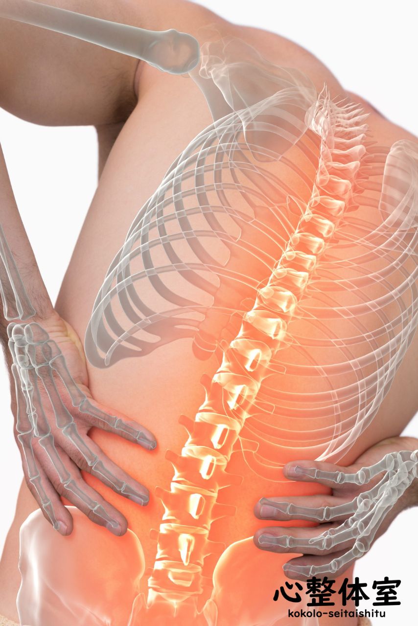 横隔膜の緊張から腰痛