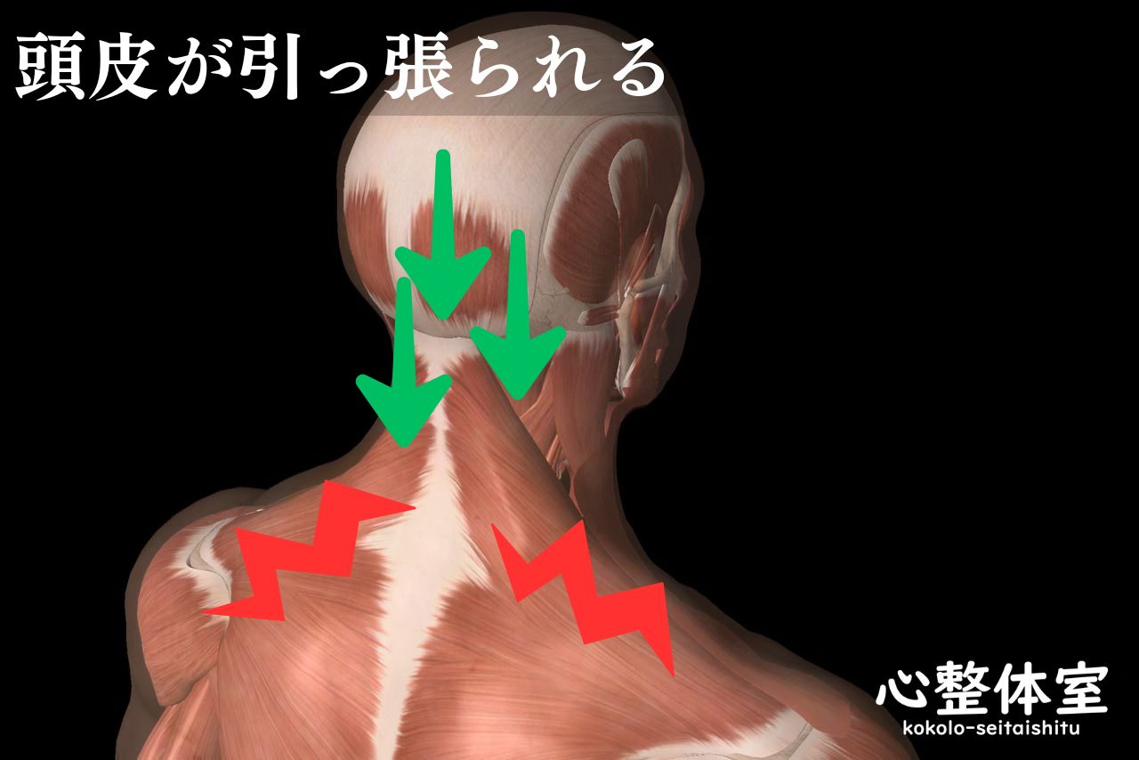 頭皮が引っ張られる