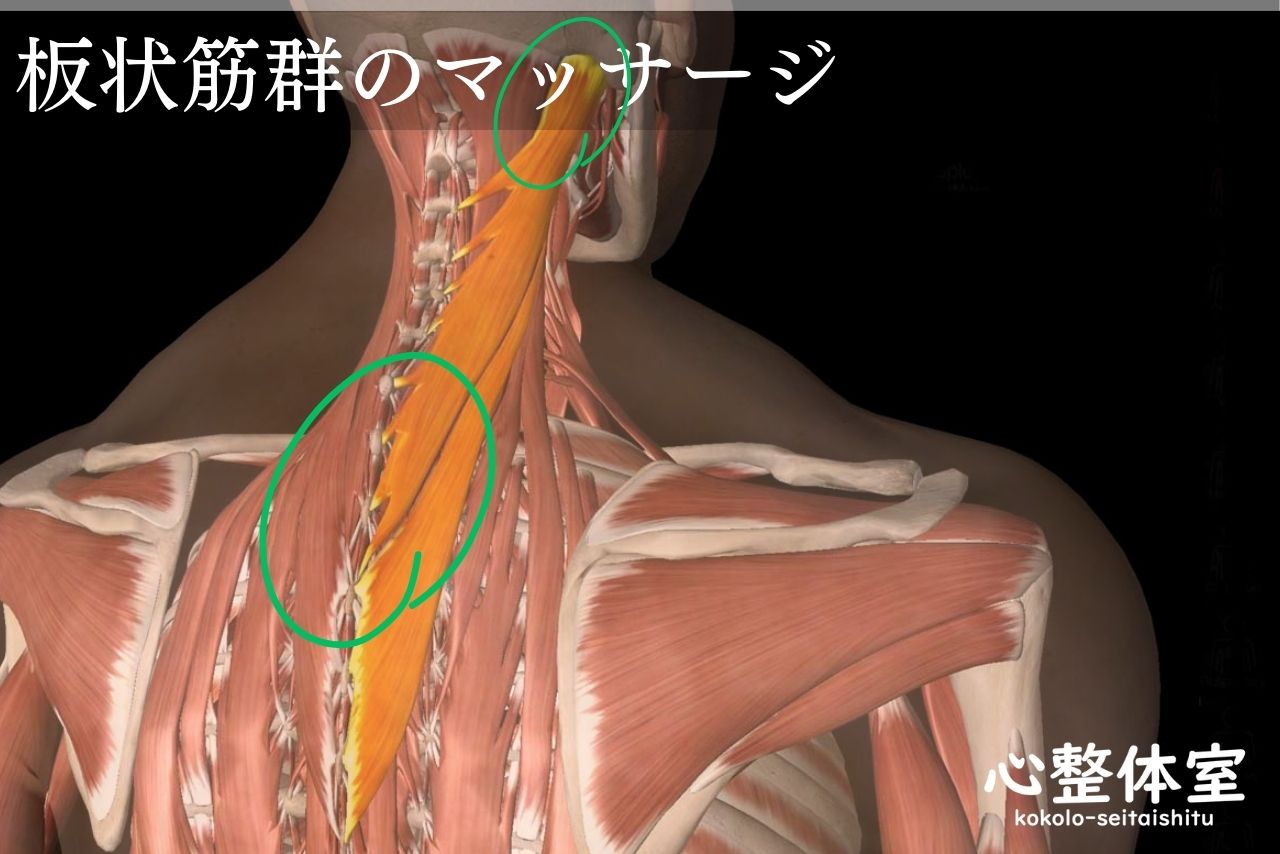板状筋群マッサージ