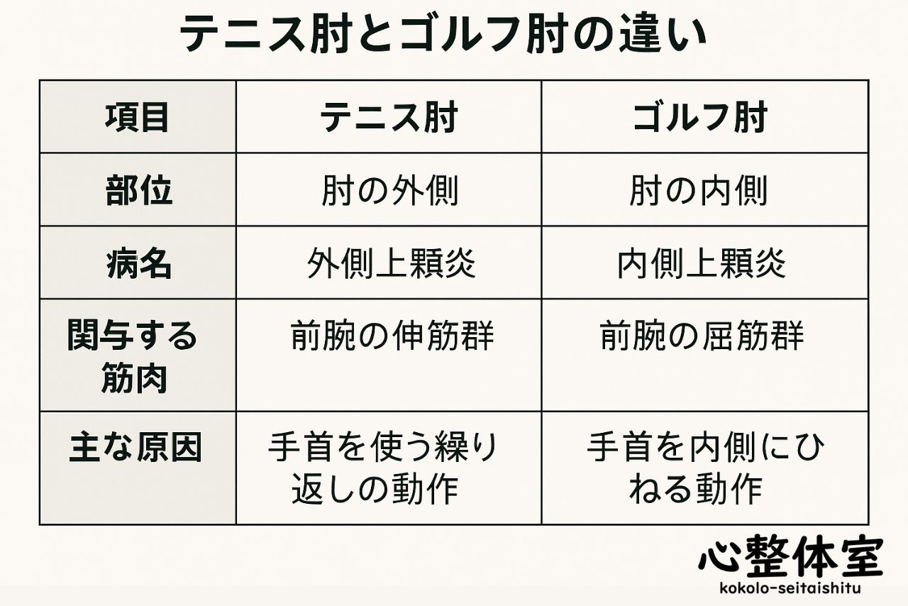 ”テニス肘“と”ゴルフ肘“の違い